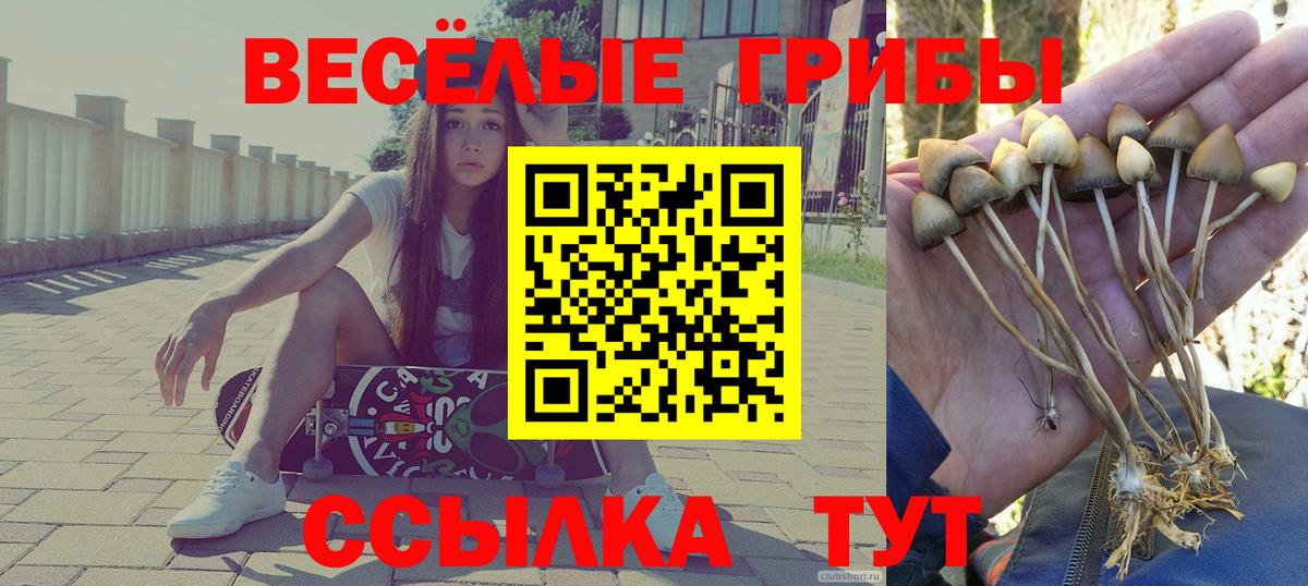 Псилоцибиновые грибы GOLDEN TEACHER Димитровград